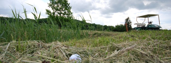 Słubickie Pole Golfowe Dębowa Polana Słubickie Pole Golfowe Dębowa Polana